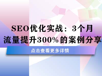 SEO优化实战：3个月流量提升300%的案例分享